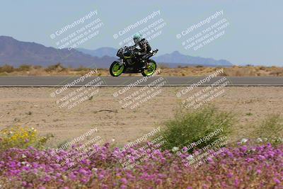 media/Mar-12-2023-SoCal Trackdays (Sun) [[d4c8249724]]/Turn 15 Inside Bloom (130pm)/